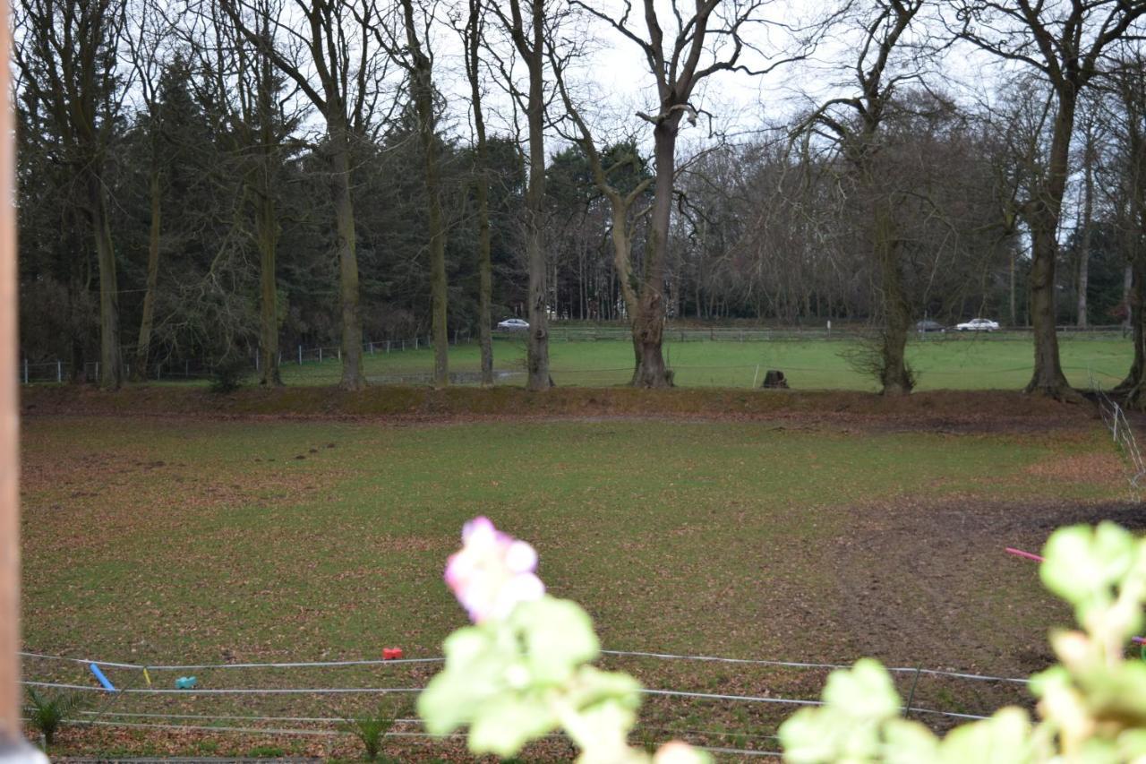 Senneville-sur-Fécamp Chez Kate Et Lolo Bed & Breakfast エクステリア 写真